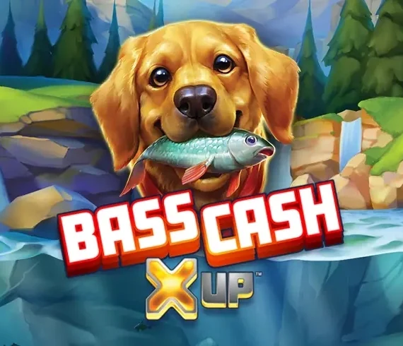 Bass Cash X UP