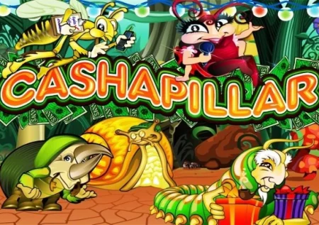 Cashapillar