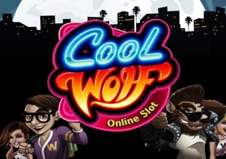 Cool Wolf