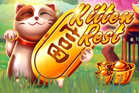 Kitten Rest 3×3