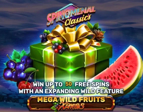 Mega Wild Fruits – Xmas