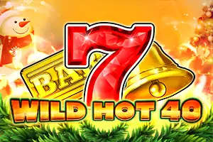 Wild Hot 40 Christmas