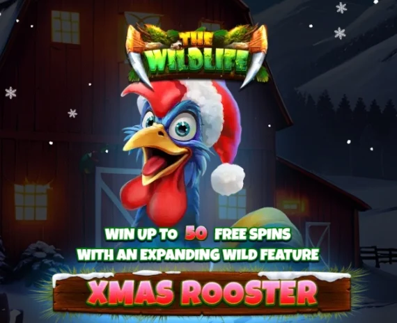 Xmas Rooster
