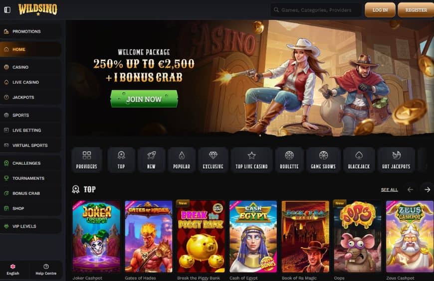 Wildsino Casino Homepage